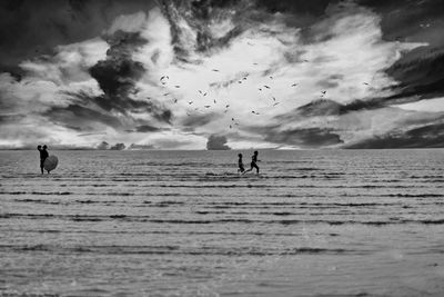 Silhouette birds on beach