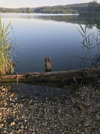 Scenic view of lake