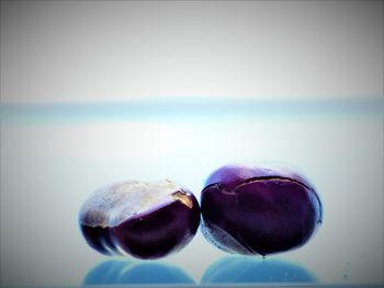 Close-up of fruit on sea against sky