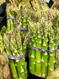 Asparagus bunch fullframe