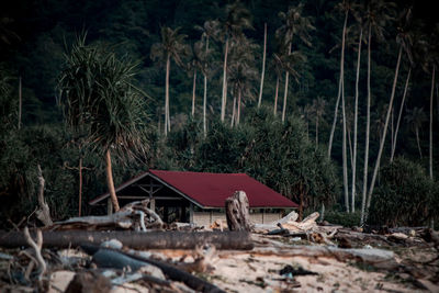 Abandoned hut on field in forest