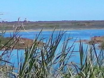 Scenic view of calm lake against clear blue sky