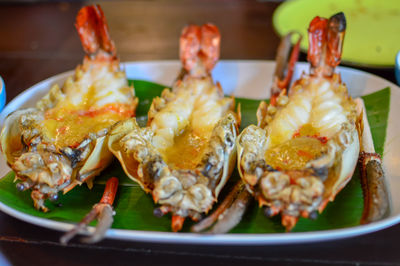 Close-up of served food in plate