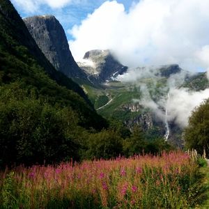 Scenic view of grassy field against cloudy sky