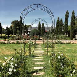 View of footpath in park