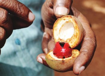 Cropped hands of man holding fruit