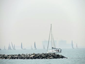 Sailboat sailing on sea against sky