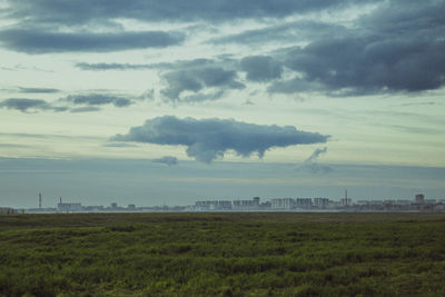 Scenic view of agricultural field against sky