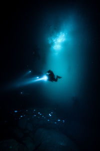 Silhouette people scuba diving undersea at night