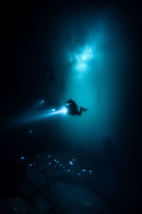 Low angle view of person swimming in sea