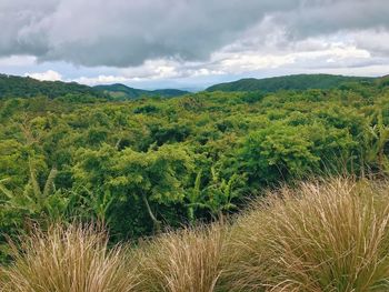 Scenic view of land against sky