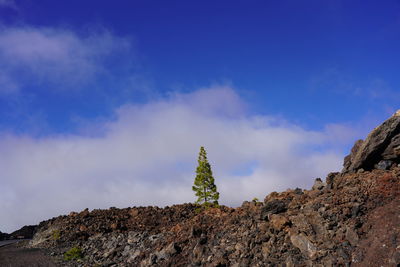 Low angle view of rocks against blue sky