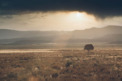 Scenic view of field against sky during sunset