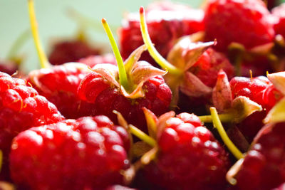 Close-up of strawberries