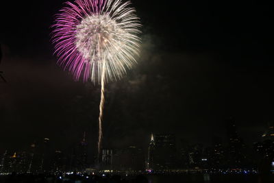 Low angle view of firework display at night