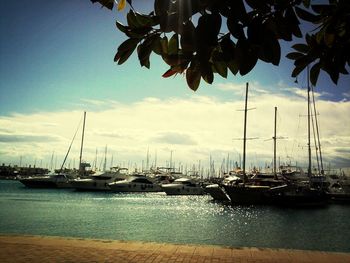 Boats moored in sea