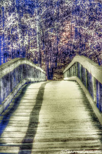 Footpath leading towards trees