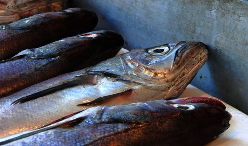 High angle view of fish at market stall for sale