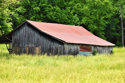 House on field against trees and plants