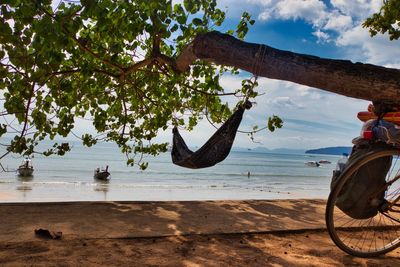 Hammock hanging on tree against sea and sky