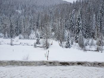 Scenic view of snow covered field