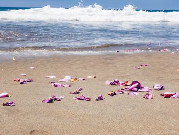 Scenic view of beach