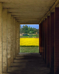 architecture