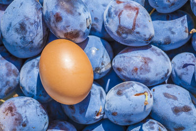 Close-up of plums and egg