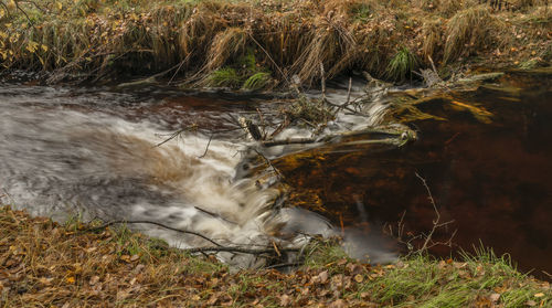 Scenic view of waterfall