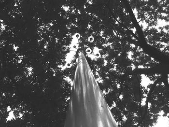 Low angle view of trees against sky