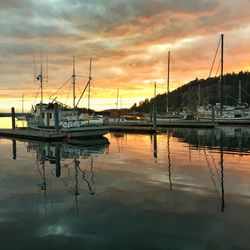 Sailboats in marina at sunset