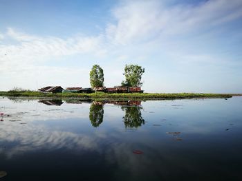 Reflection of tree in lake against sky