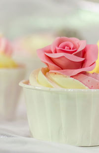 Close-up of pink roses