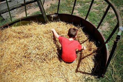 High angle rear view of boy playing on hays