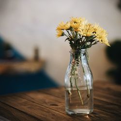 Close-up of flowers in vase