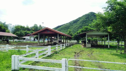 House amidst trees and buildings against sky