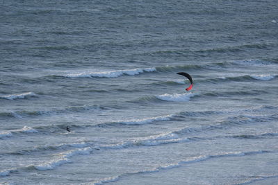 People enjoying in sea