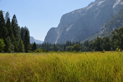 Scenic view of landscape against clear sky