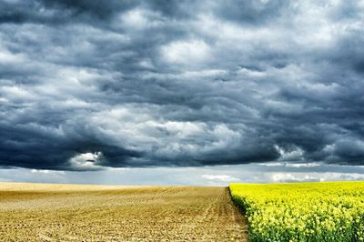 Scenic view of field against cloudy sky