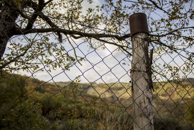 Low angle view of chainlink fence against sky