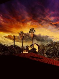Silhouette palm trees against sky during sunset