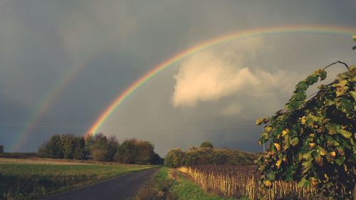 Scenic view of rainbow over field against sky