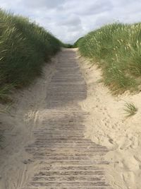 Footpath leading towards beach against sky