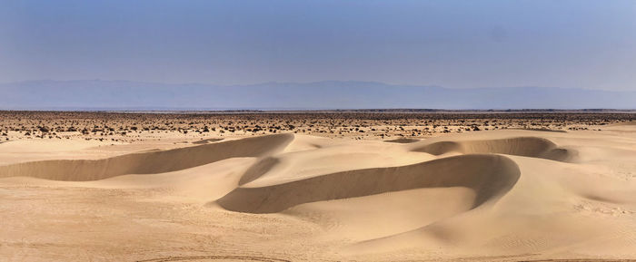 Sand dune in desert against sky