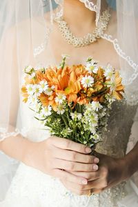 Close-up of hand holding flower