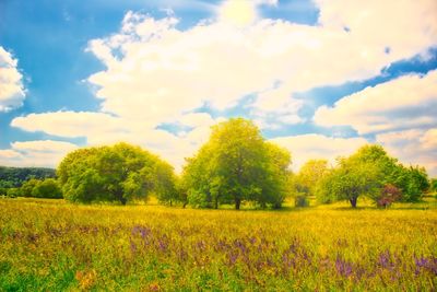 Scenic view of grassy field against cloudy sky