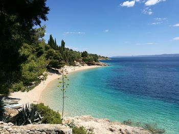 Scenic view of sea against blue sky