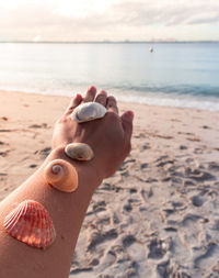 Low section of person on beach