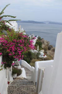 Flowers on beach by sea against sky