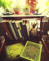 High angle view of potted plant on table at home